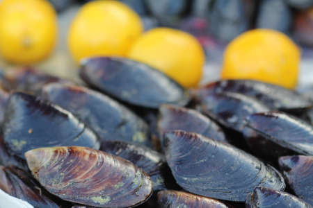 Fresh mussels and lemons on a market stall, close up