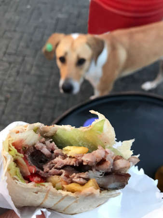 Tortilla with tuna and kiwi.の写真素材