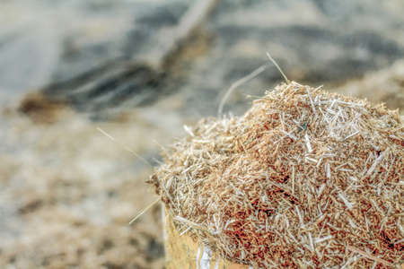 Close-up of sawdust in the sawmill. Selective focus.