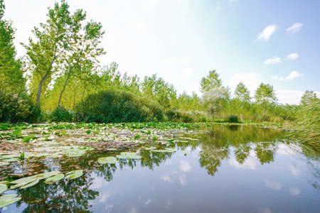 longoz natural habitat and nature photos