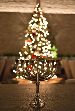 Christmas tree and Menorah - Celebrating Christian and Jewish holidays togetherの写真素材