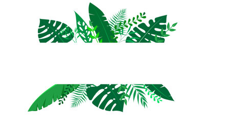 Vector floral frame Forest fern tropical leaf folliage&#x9;&#xD;&#xA;のイラスト素材