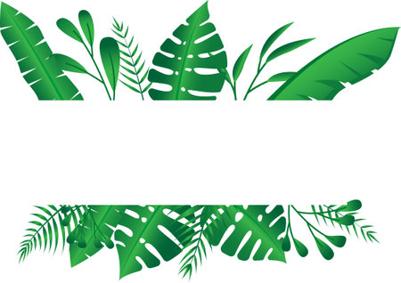 Vector floral frame Forest fern tropical leaf folliage&#x9;&#xD;&#xA;のイラスト素材