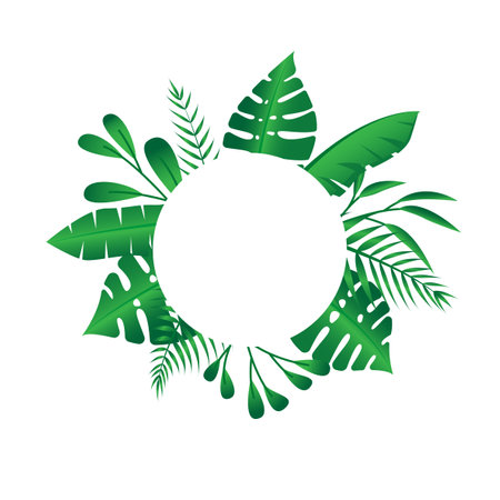 Vector floral frame Forest fern tropical leaf folliage&#x9;&#xD;&#xA;のイラスト素材