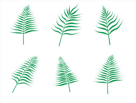 monstera leaf tropical leaf set palm leaf&#x9;のイラスト素材