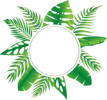 Vector floral frame Forest fern tropical leaf folliage&#x9;のイラスト素材