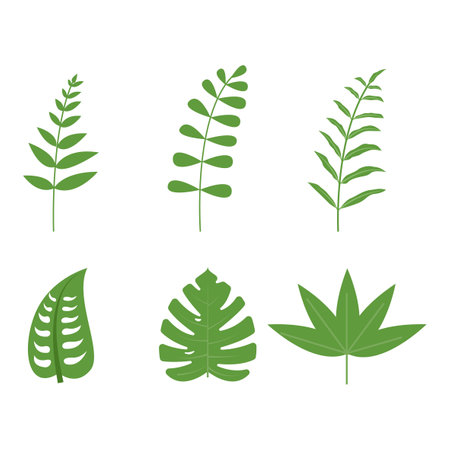 palm leaf tropical leaves set vectorのイラスト素材