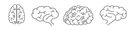 human brain icon detailed outlineのイラスト素材