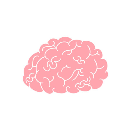 human brain organ pink brain with white strokeの写真素材