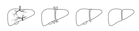 liver icon detail monochrome simple design human organのイラスト素材