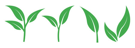 sprouting leaf new plant icon logoのイラスト素材