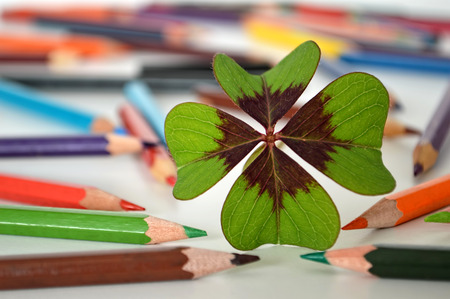 Back to school: Shamrock and colored pencils on the tableの写真素材