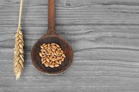 Wheat grains in wooden spoonの写真素材