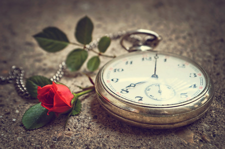Old pocket watch and a roseの写真素材