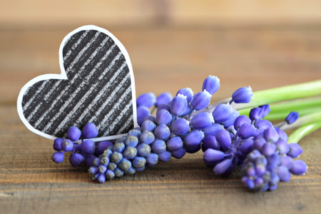 Bluebells and paper heart and  on wooden backgroundの写真素材