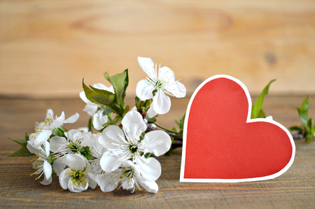 Blank greeting card in shape of a heart with spring flowers on wooden backgroundの写真素材