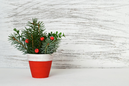 Christmas arrangement in clay pot on white grunge backgroundの写真素材