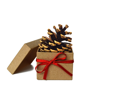 Pine cone in brown gift box isolated on white backgroundの写真素材