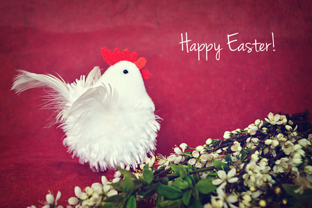 Easter greeting: Rooster and spring flowersの写真素材