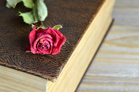 Closed book and dry roseの写真素材