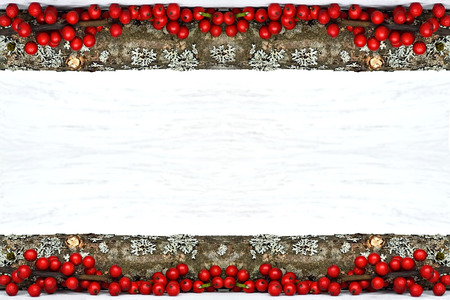 Christmas background with natural borderの写真素材