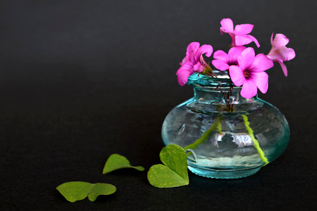 Pink flowers in the vaseの写真素材