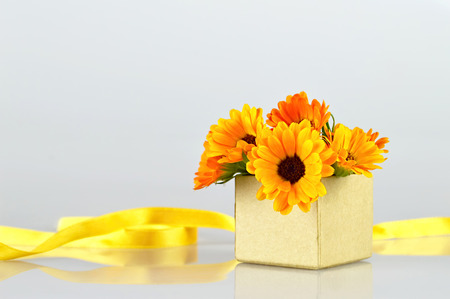 Flowers arranged in gift box on light backgroundの写真素材