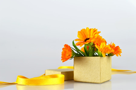 Marigold flowers arranged in gift box on light backgroundの写真素材