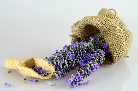 Lavender flowers in the burlap bagの写真素材