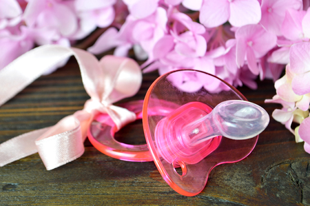 Baby soother and pink hydrangea flowersの写真素材