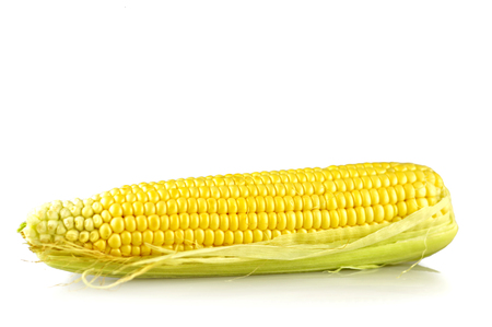 Fresh sweet corn isolated on white backgroundの写真素材