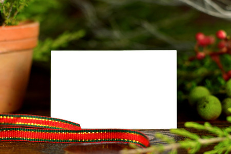 Empty Christmas cardの写真素材