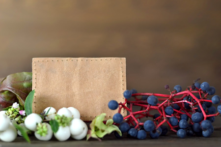 Blank card, blue and white berriesの写真素材