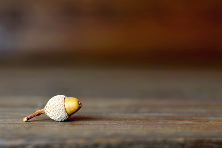 Autumn background: Acorn on wooden boardの写真素材