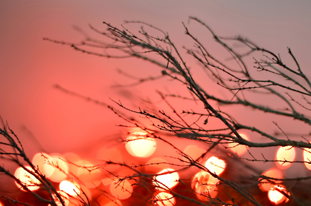 Blurred red lights as Christmas backgroundの写真素材