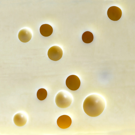 Emmentalの写真素材