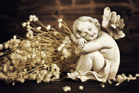 Angel and dry flowersの写真素材