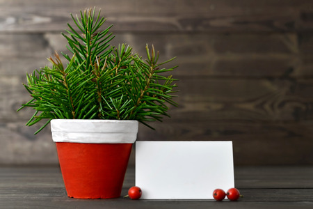 Christmas tree in the pot and blank Christmas cardの写真素材