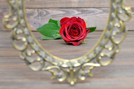 Mothers Day red rose in the vintage frame on wooden backgroundの写真素材