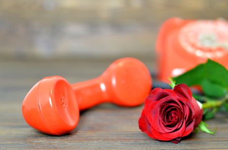 Valentines Day card: Red rose and vintage telephoneの写真素材