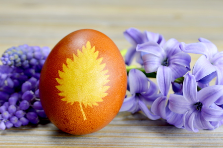 Easter egg colored with onion skin and spring flower on the plateの写真素材
