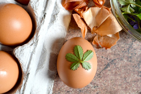 Traditional way of coloring and decorating Easter eggsの写真素材