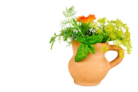 Herbs isolated on white backgroundの写真素材