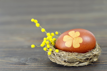 Easter egg in the nest and mimosaの写真素材