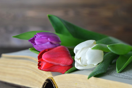 Mothers Day flowers on old opened book