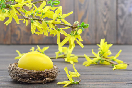 Easter card with yellow Easter egg in the nest and spring flowersの写真素材
