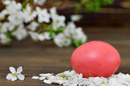 Easter card with Easter egg  in the nest and blooming spring branches   の写真素材