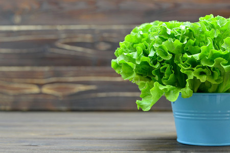 Fresh lettuce in the bowl on wooden backgroundの写真素材