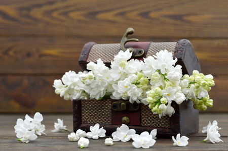 Wedding decoration: White flowers in the wooden vintage chestの写真素材