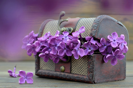 Anniversary card with lilac flowers in vintage treasure chestの写真素材